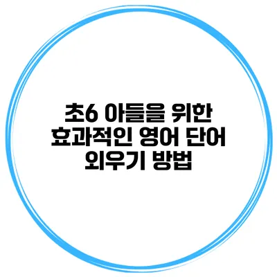 초6 아들을 위한 효과적인 영어 단어 외우기 방법
