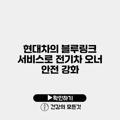 현대차의 블루링크 서비스로 전기차 오너 안전 강화